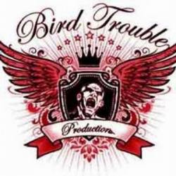 Bird Trouble Production